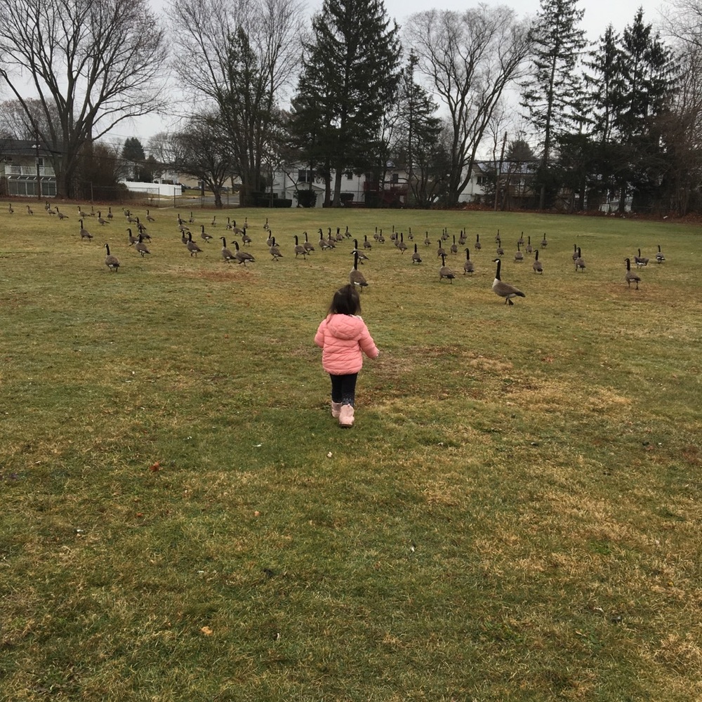 Meet your Posher, Tiffany